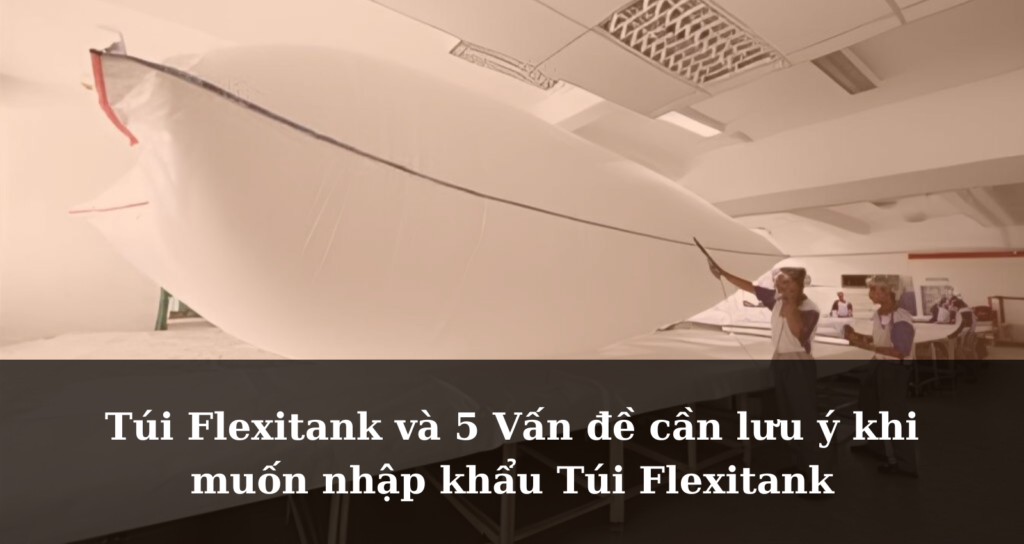 Túi Flexitank và 5 Vấn đề cần lưu ý khi muốn nhập khẩu Túi Flexitank