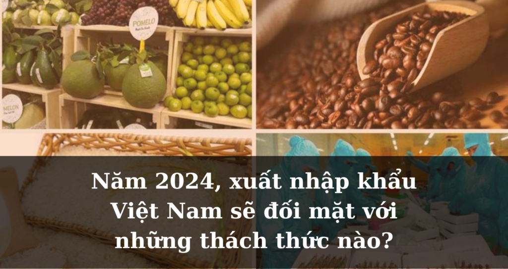 [Thị trường] Năm 2024, xuất nhập khẩu Việt Nam sẽ đối mặt với những thách thức nào?