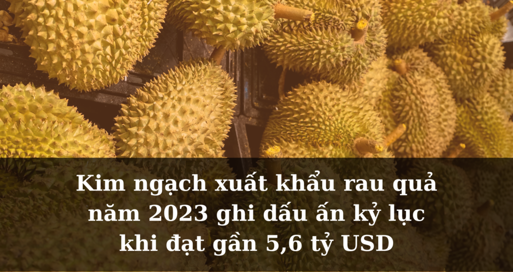 [Thị trường] Kim ngạch xuất khẩu rau quả năm 2023 ghi dấu ấn kỷ lục khi đạt gần 5,6 tỷ USD