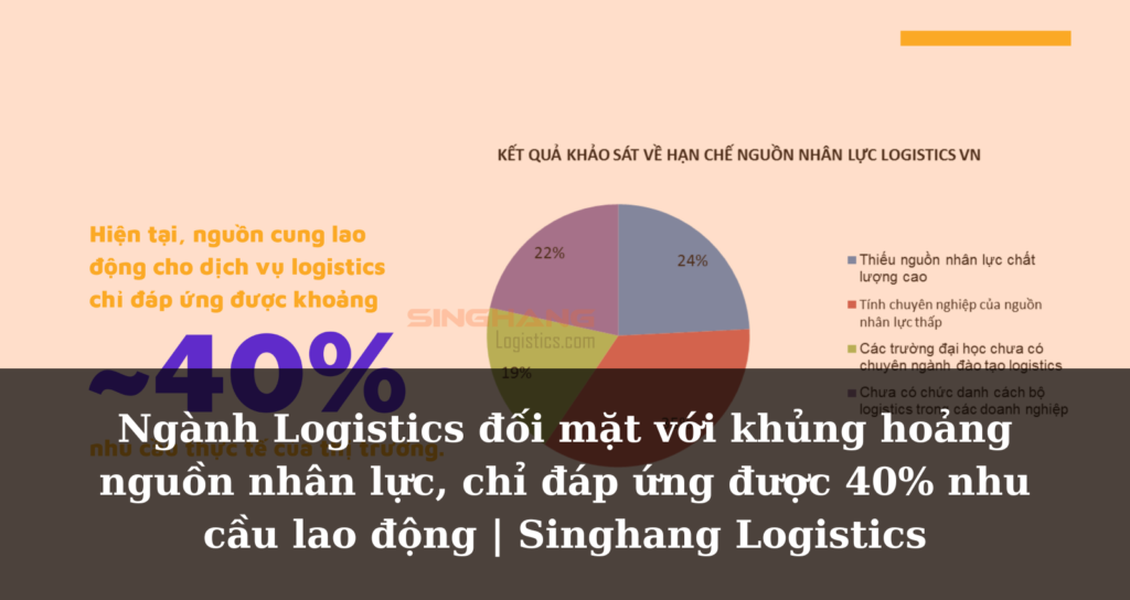 [Tin tức] Ngành Logistics đối mặt với khủng hoảng nguồn nhân lực, chỉ đáp ứng được 40% nhu cầu lao động | Singhang Logistics