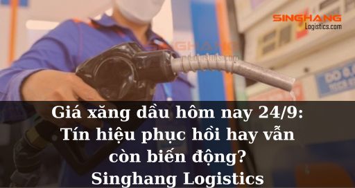 Giá xăng dầu hôm nay 24.9 - Tín hiệu phục hồi hay vẫn còn biến động - Singhang Logistics