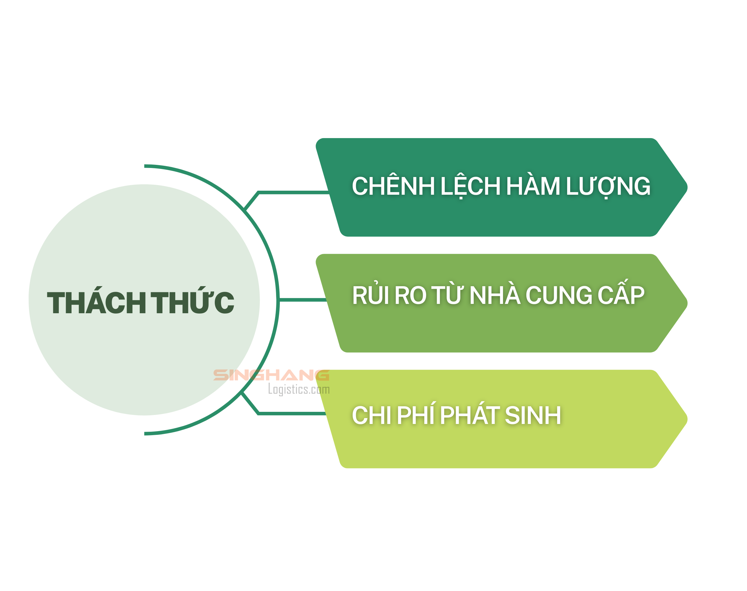 Những thách thức thường gặp và giải pháp từ Singhang | Singhang Logistics